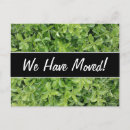 Suche nach hecke postkarten Grün