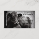 Suche nach schwarzes angus visitenkarten Bauernhof