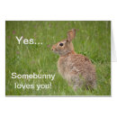 Suche nach weißes häschen postkarten Kaninchen