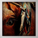 Suche nach amish poster Amisch