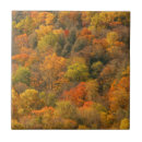 Suche nach herbstlaub fliesen Muster
