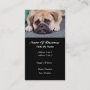 Suche nach hundepflegen visitenkarten Hundegroomer