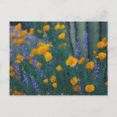 Suche nach orgelpfeifen postkarten Arizona