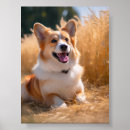 Suche nach hund fotodruck Liebe