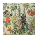 Suche nach botanische illustration fliesen Jede person