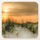 Suche nach seegras untersetzer Küsten