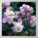 Suche nach lila blumen poster Mutter