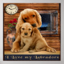 Suche nach labrador retriever poster Tiere