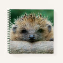 Suche nach igel kleine notizbücher Tier