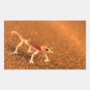 Suche nach sanddünen aufkleber Tag