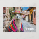 Suche nach peru lama postkarten Jede person