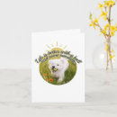 Suche nach bichon karten Jede person