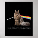 Suche nach maine coon poster Katzenmutter