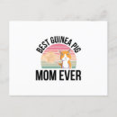 Suche nach pet postkarten Tiere