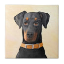 Suche nach dobermann fliesen Doberman pinscher