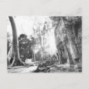 Suche nach kreativ postkarten Weiß