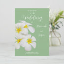 Suche nach frangipani hochzeit einladungen Jede person