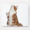 Suche nach sitzende katze mousepads Tiere