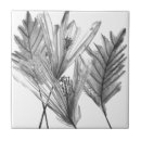 Suche nach silhouette fliesen Floral