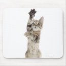 Suche nach hinten mousepads Tier