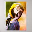 Suche nach blaue papageien poster Tierwelt