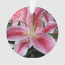 Suche nach rosa lilien ornamente Schön
