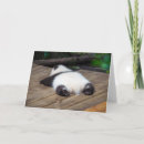 Suche nach provinz karten Riesenpanda