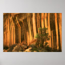 Suche nach national poster Canyon