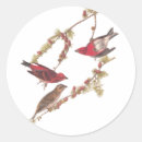 Suche nach roter vogel aufkleber Jede person