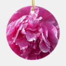 Suche nach flora ornamente Rosa blume