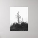 Suche nach baum silhouette leinwandbilder Natur
