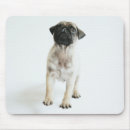 Suche nach mops spaß mousepads Welpe