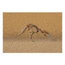 Suche nach fossil poster Wissenschaft