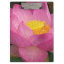 Suche nach lotus klemmbrett Blüte