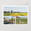 Suche nach amsterdam tulpen postkarten Niederwerfen