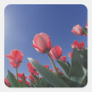 Suche nach niedrig aufkleber Rosa