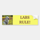 Suche nach labrador retriever autoaufkleber Tiere