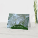 Suche nach jasmin blumen karten Weiß