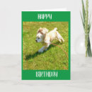 Suche nach cocker spaniel geburtstag karten Familie