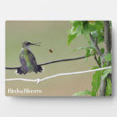 Suche nach bienen fotoplatten Vogelbeobachtung