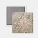 Suche nach dandelion magnete Saatgut