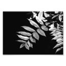 Suche nach walnuss poster Baum