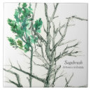 Suche nach botanische illustration fliesen Jede person