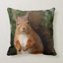 Suche nach eichhörnchen kissen Wildtiere