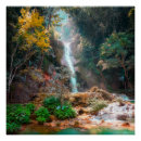 Suche nach landschaftliche natur poster Bäume