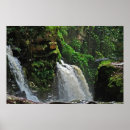 Suche nach rainforest poster Landschaft
