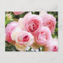 Suche nach aufgaben postkarten Für sie