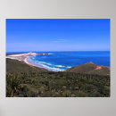Suche nach kapern poster Neuseeland