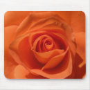 Suche nach orange ros mousepads Rose