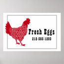 Suche nach huhn und eier poster Bauernhof